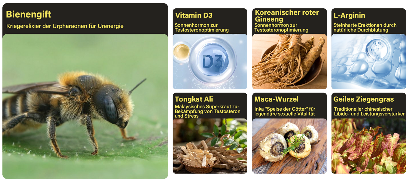 Lotmay® Biene VenomX DualIgnite Leistungssystem